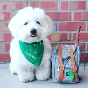 Lovely Dog Backpack Strap for Small And Medium-Sized Dogs, Adjustable Pet Saddle Bag with Pocket, Portable Outdoor Travel Backpack for French Bulldog Corgi - Image 7