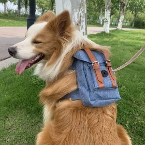 Lovely Dog Backpack Strap for Small And Medium-Sized Dogs, Adjustable Pet Saddle Bag with Pocket, Portable Outdoor Travel Backpack for French Bulldog Corgi - Image 8