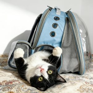 Cat Expandable Backpack | Aviation-Certified, Front And Back Dual Expandable Cat Backpack Carrier, Expandable Pet Carrier Backpack for Large Fat Cat And Small Puppy, Rabbits, Birds, Small Pets, Portable, Breathable, for Large-Capacity Carrier - Image 3