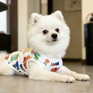 Super Soft Small Pet Vest, Cute Colorful Dinosaur Pattern, Suitable for Small Dogs and Cats, Light and Warm in All Seasons, Anti-hair Removal, Cute Dinosaur Design - Image 4