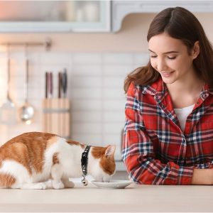 2pcs Breakaway Cat Collars with Bell - Adjustable, Glow-in-the-Dark Design, Durable Nylon, Perfect for Outdoor Activities, Cute Kitten Collars, Pet, |playful Design|adjustable Collar - Image 3