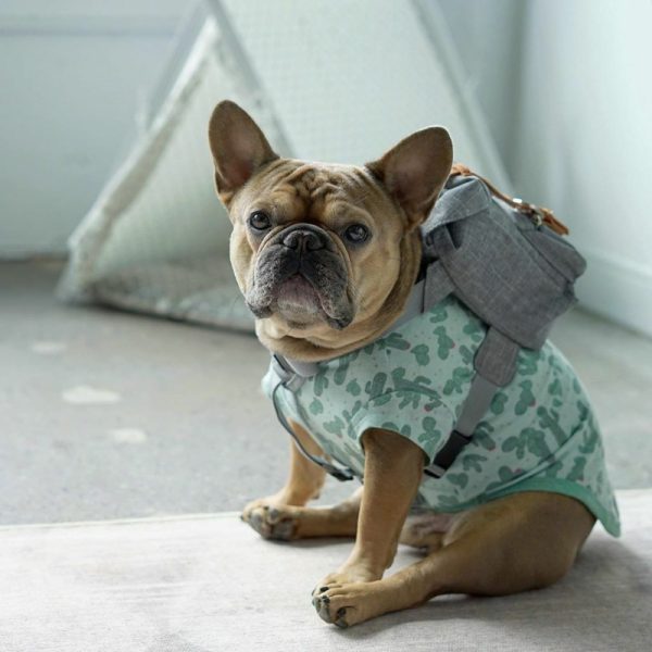 Lovely Dog Backpack Strap for Small And Medium-Sized Dogs, Adjustable Pet Saddle Bag with Pocket, Portable Outdoor Travel Backpack for French Bulldog Corgi