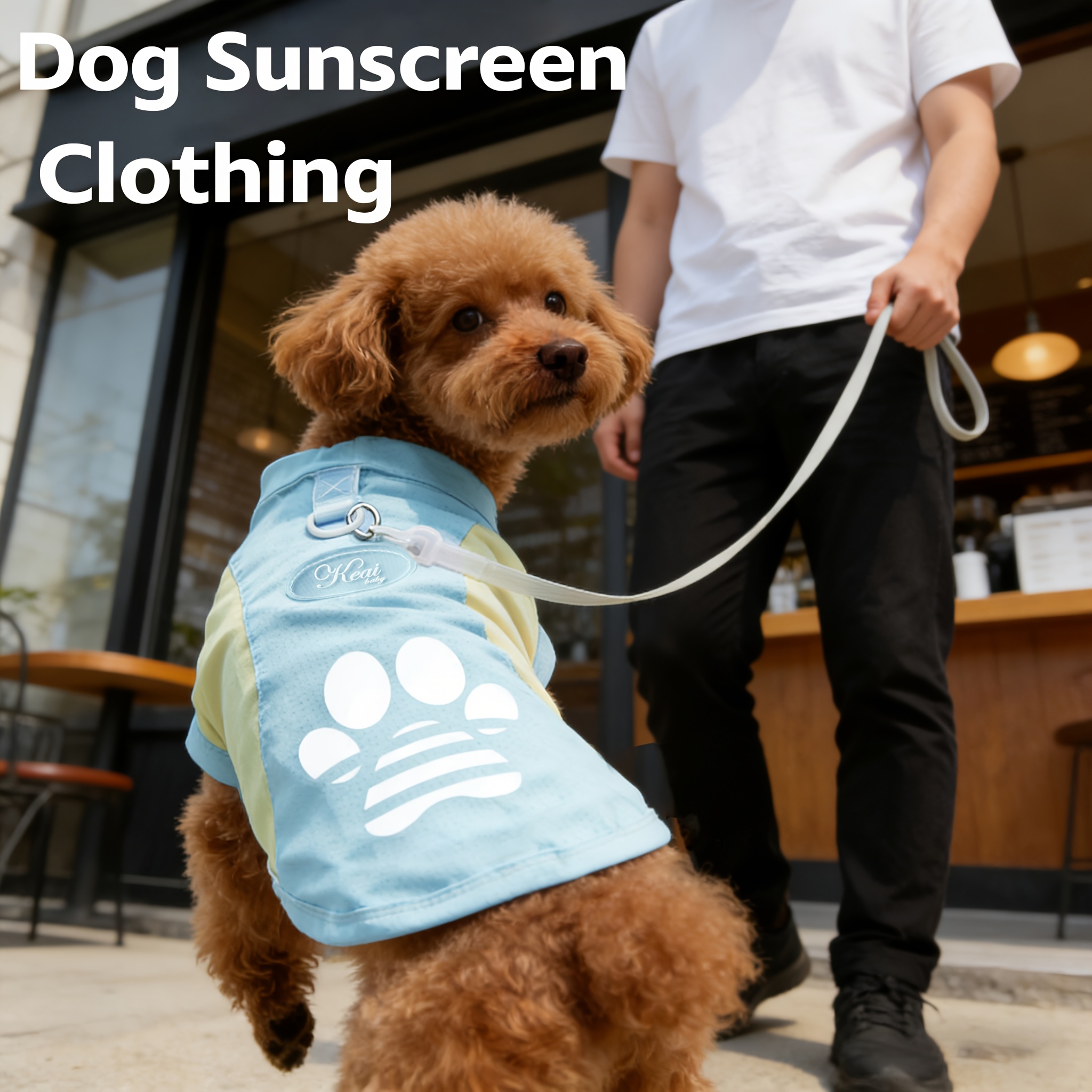 A Breathable Mesh Material Dog Sun Protection Suit That Can Block UV Rays in Summer, with Logo Design and Color-blocking, Suitable for Small and Medium Dogs Such as Chihuahuas, Poodles, and Bichons, and Can Be Used for Leashing Cats and Dogs - Image 5