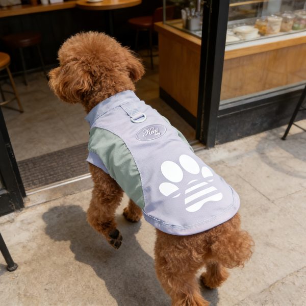 A Breathable Mesh Material Dog Sun Protection Suit That Can Block UV Rays in Summer, with Logo Design and Color-blocking, Suitable for Small and Medium Dogs Such as Chihuahuas, Poodles, and Bichons, and Can Be Used for Leashing Cats and Dogs