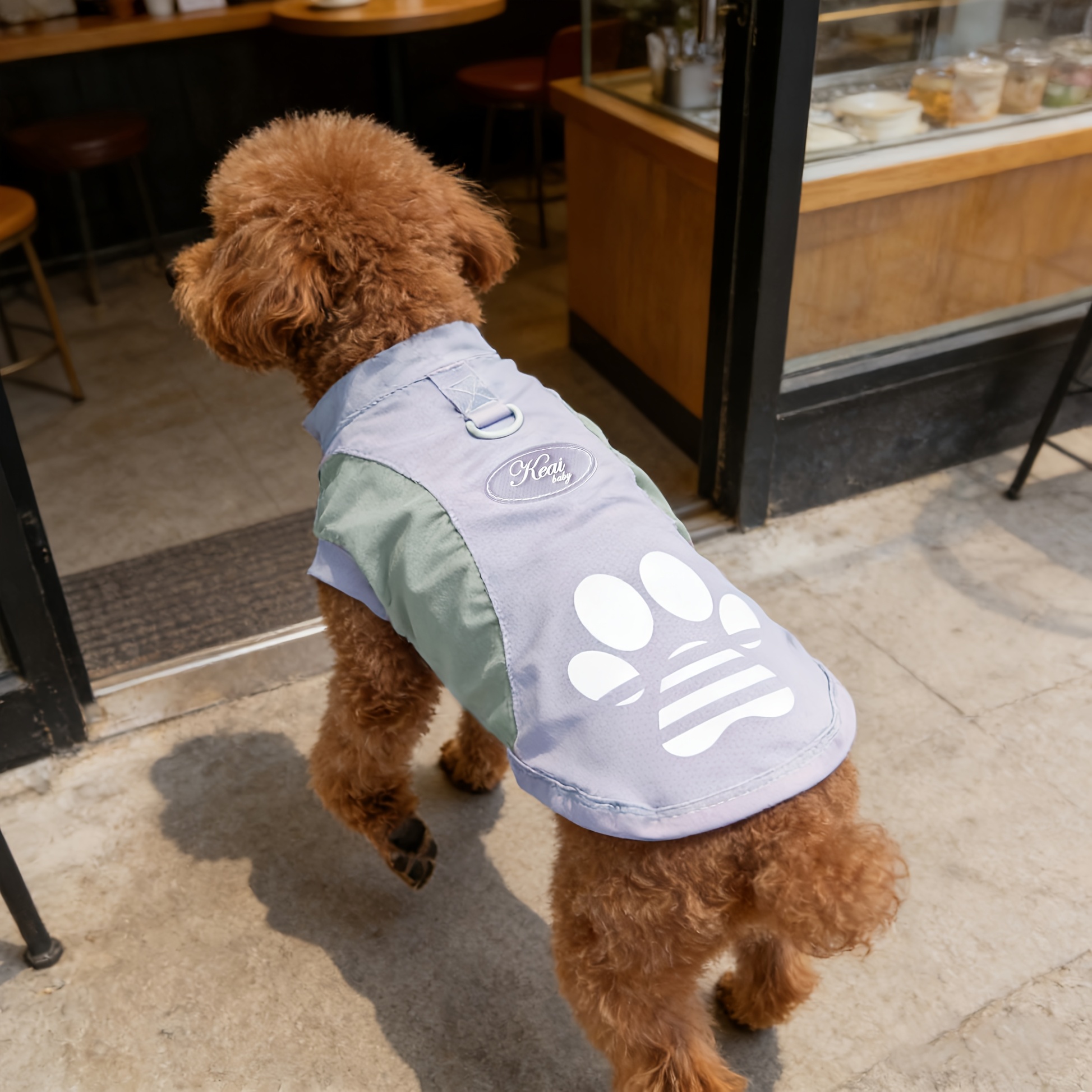 A Breathable Mesh Material Dog Sun Protection Suit That Can Block UV Rays in Summer, with Logo Design and Color-blocking, Suitable for Small and Medium Dogs Such as Chihuahuas, Poodles, and Bichons, and Can Be Used for Leashing Cats and Dogs - Image 10