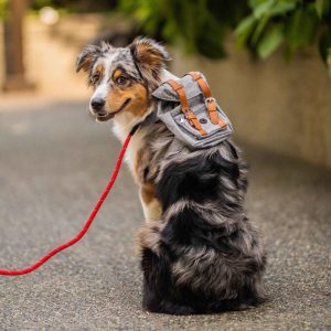 Lovely Dog Backpack Strap for Small And Medium-Sized Dogs, Adjustable Pet Saddle Bag with Pocket, Portable Outdoor Travel Backpack for French Bulldog Corgi - Image 9