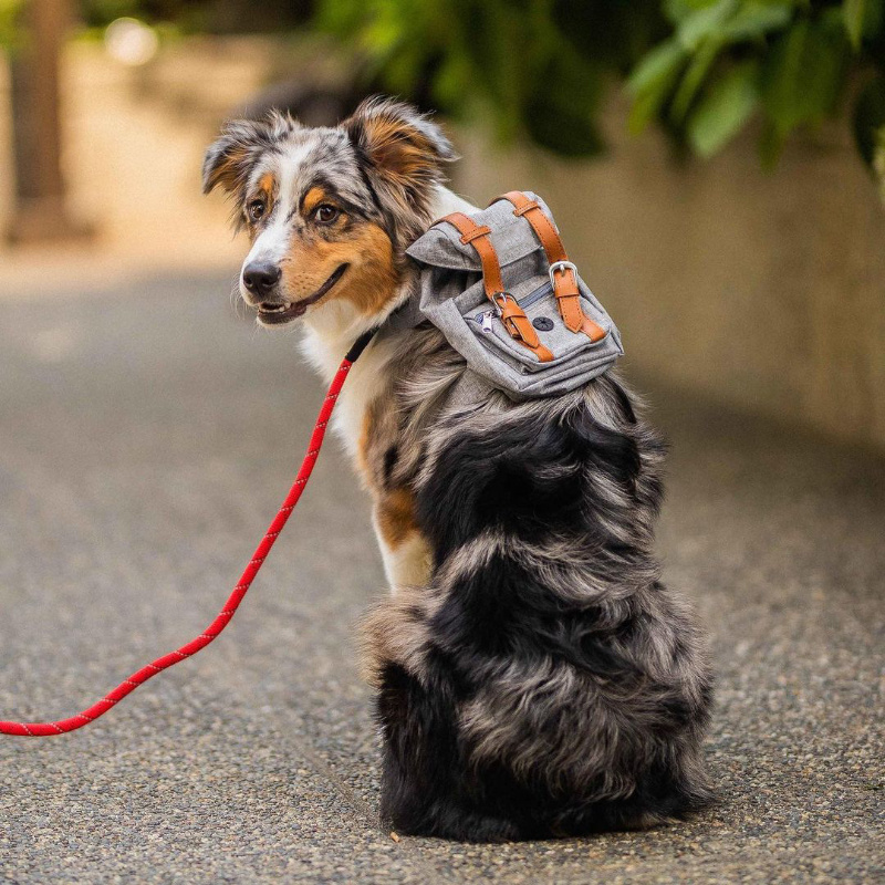 Lovely Dog Backpack Strap for Small And Medium-Sized Dogs, Adjustable Pet Saddle Bag with Pocket, Portable Outdoor Travel Backpack for French Bulldog Corgi - Image 9