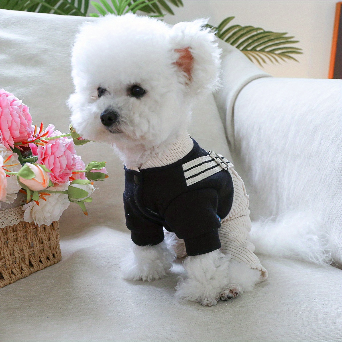 Teddy Bear Dog Clothes - 100% Polyester Knit All-in-One Puppy Jumpsuit with Back Legs Straps, Cozy Winter Spring Fall Outfit for Small Breeds, Hand Wash Only - Image 8