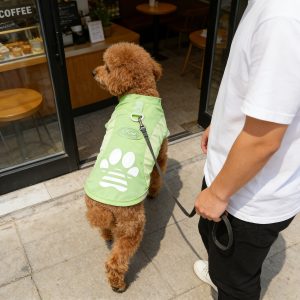 A Breathable Mesh Material Dog Sun Protection Suit That Can Block UV Rays in Summer, with Logo Design and Color-blocking, Suitable for Small and Medium Dogs Such as Chihuahuas, Poodles, and Bichons, and Can Be Used for Leashing Cats and Dogs - Image 4