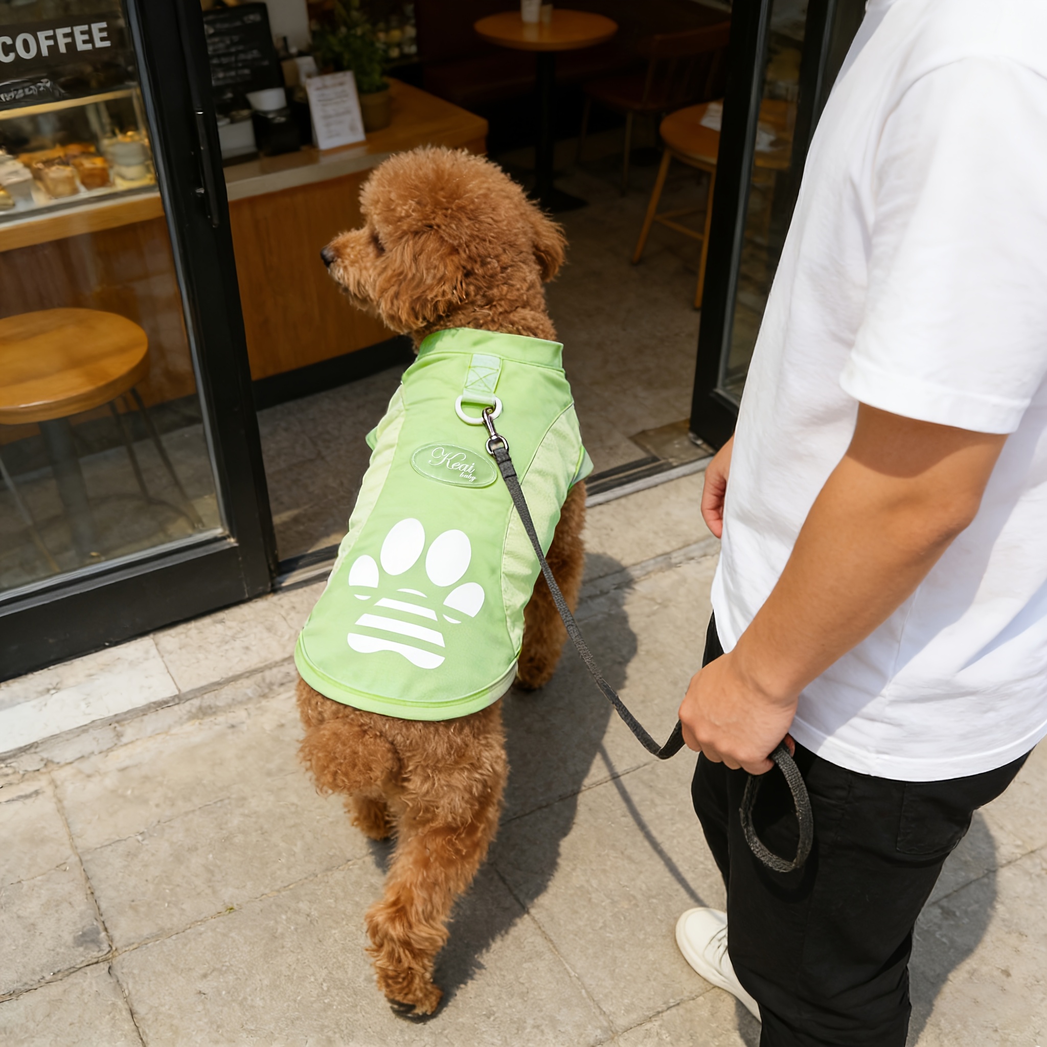 A Breathable Mesh Material Dog Sun Protection Suit That Can Block UV Rays in Summer, with Logo Design and Color-blocking, Suitable for Small and Medium Dogs Such as Chihuahuas, Poodles, and Bichons, and Can Be Used for Leashing Cats and Dogs - Image 4